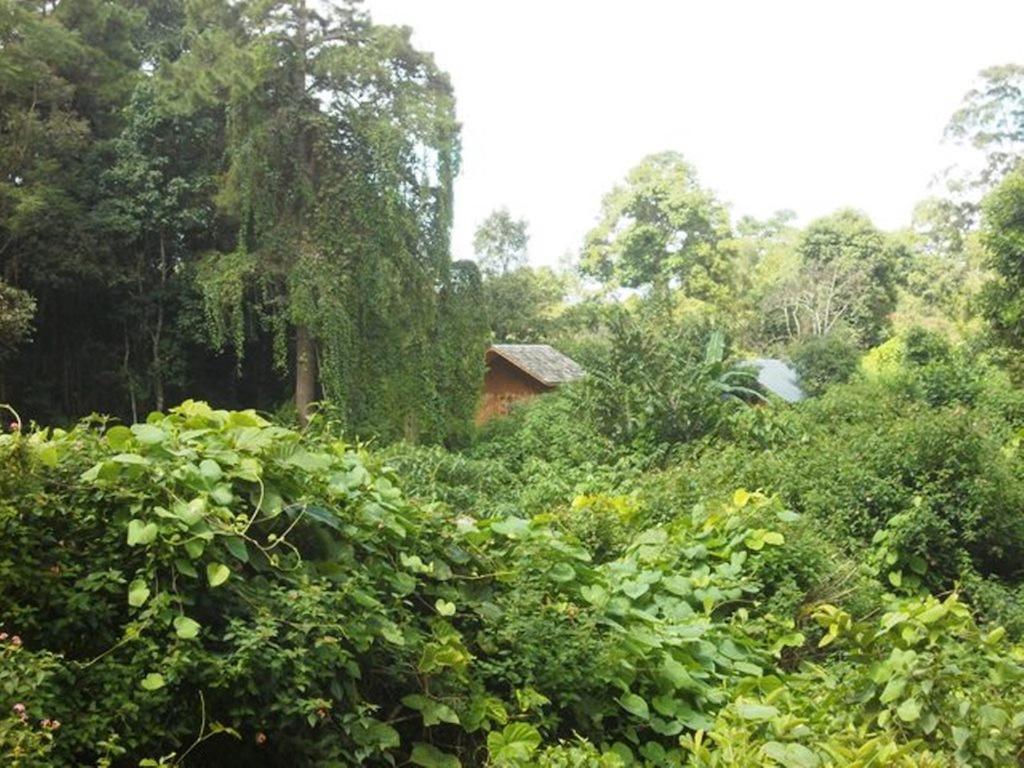 Bed and Breakfast Thitaw Lay House Kalaw Exterior foto